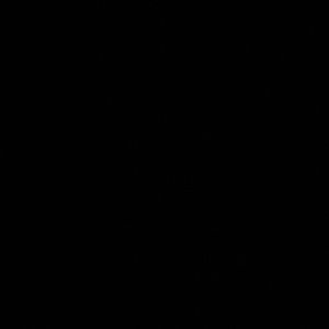 Meet your Posher, Wesley